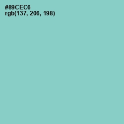 #89CEC6 - Half Baked Color Image