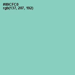 #89CFC0 - Half Baked Color Image