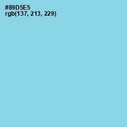 #89D5E5 - Seagull Color Image