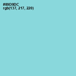 #89D9DC - Sinbad Color Image