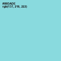 #89DADE - Sinbad Color Image