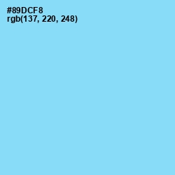 #89DCF8 - Seagull Color Image