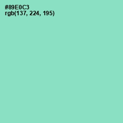 #89E0C3 - Riptide Color Image