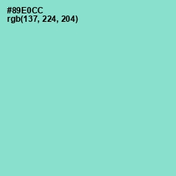 #89E0CC - Riptide Color Image