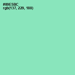 #89E5BC - Algae Green Color Image