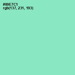 #89E7C1 - Riptide Color Image