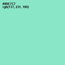 #89E7C7 - Riptide Color Image