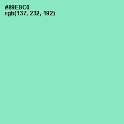 #89E8C0 - Riptide Color Image