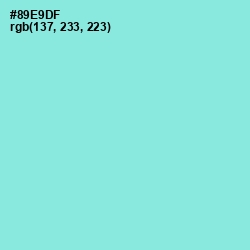 #89E9DF - Riptide Color Image