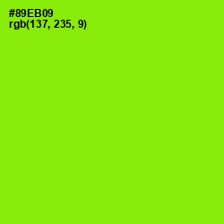 #89EB09 - Inch Worm Color Image