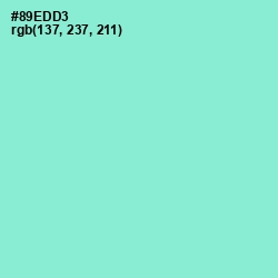 #89EDD3 - Riptide Color Image