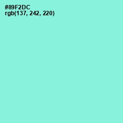 #89F2DC - Riptide Color Image