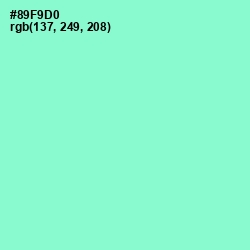 #89F9D0 - Riptide Color Image