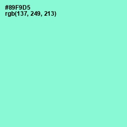 #89F9D5 - Riptide Color Image