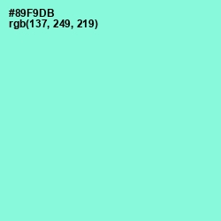 #89F9DB - Riptide Color Image