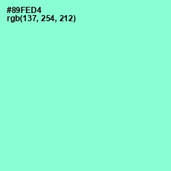 #89FED4 - Riptide Color Image