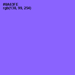 #8A63FE - Medium Purple Color Image