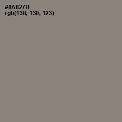 #8A827B - Schooner Color Image