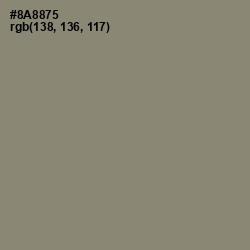 #8A8875 - Granite Green Color Image