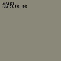 #8A8878 - Granite Green Color Image