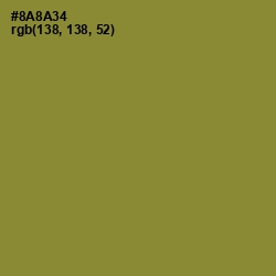 #8A8A34 - Sycamore Color Image