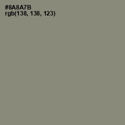 #8A8A7B - Schooner Color Image
