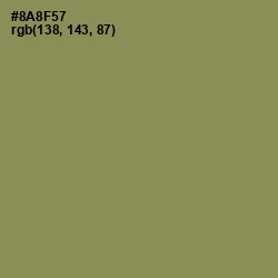 #8A8F57 - Avocado Color Image