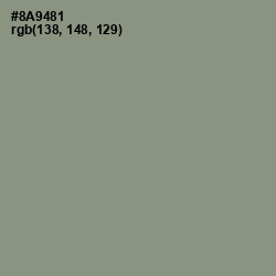 #8A9481 - Spanish Green Color Image