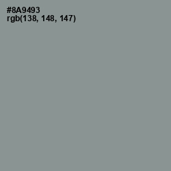 #8A9493 - Mantle Color Image