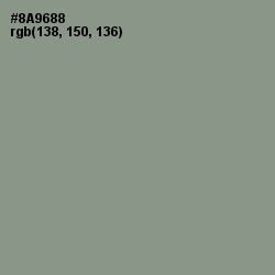 #8A9688 - Spanish Green Color Image