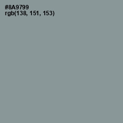#8A9799 - Regent Gray Color Image