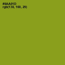 #8AA01D - Citron Color Image