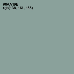 #8AA19B - Envy Color Image
