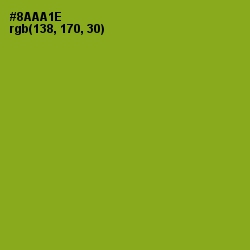 #8AAA1E - Citron Color Image