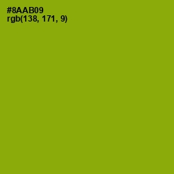 #8AAB09 - Citron Color Image