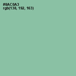 #8AC0A3 - Shadow Green Color Image