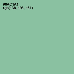 #8AC1A1 - Shadow Green Color Image