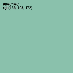 #8AC1AC - Shadow Green Color Image