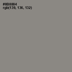 #8B8884 - Natural Gray Color Image