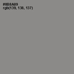 #8B8A89 - Stack Color Image