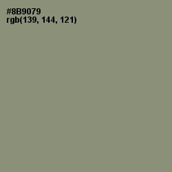 #8B9079 - Granite Green Color Image