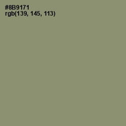 #8B9171 - Granite Green Color Image