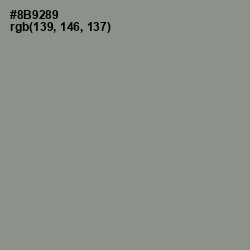 #8B9289 - Spanish Green Color Image