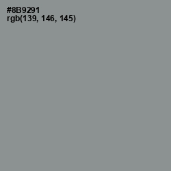 #8B9291 - Mantle Color Image