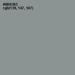 #8B9393 - Mantle Color Image
