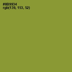 #8B9934 - Sycamore Color Image