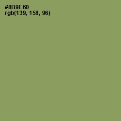 #8B9E60 - Avocado Color Image