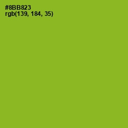 #8BB823 - Sushi Color Image