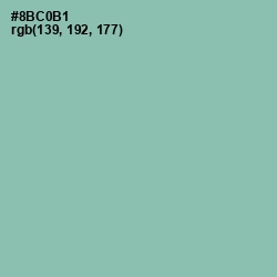 #8BC0B1 - Shadow Green Color Image