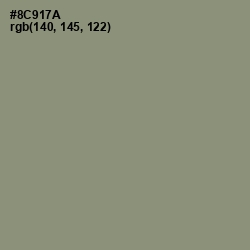 #8C917A - Granite Green Color Image